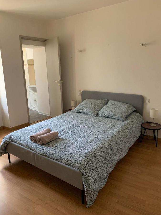 Ravissant Appartement T3 Hypercentre De 马扎梅 外观 照片